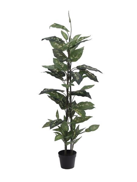 EUROPALMS Dieffenbachia, künstlich, 120cm