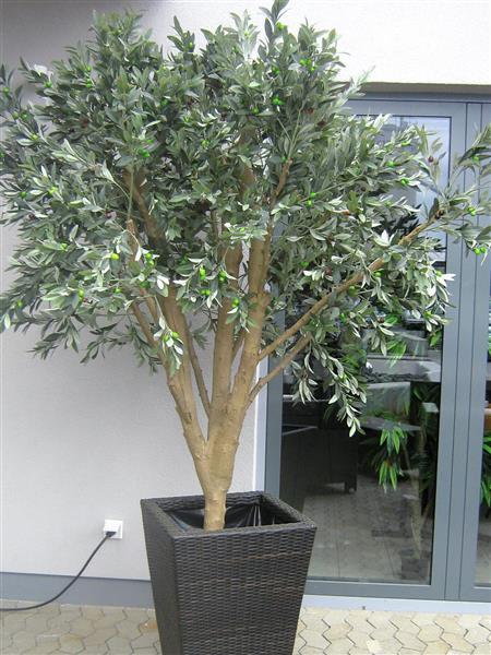EUROPALMS Riesen-Olivenbaum, Kunstpflanze, 250cm