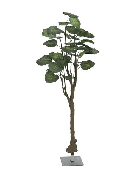 EUROPALMS Pothosbaum, Kunstpflanze, 175cm