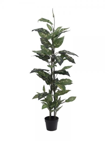 EUROPALMS Dieffenbachia, künstlich, 120cm