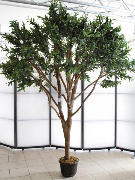 EUROPALMS Riesen-Olivenbaum, Kunstpflanze, 250cm