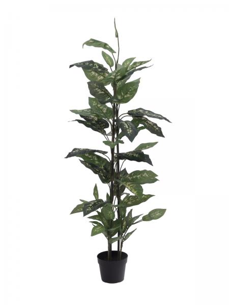 EUROPALMS Dieffenbachia, künstlich, 120cm