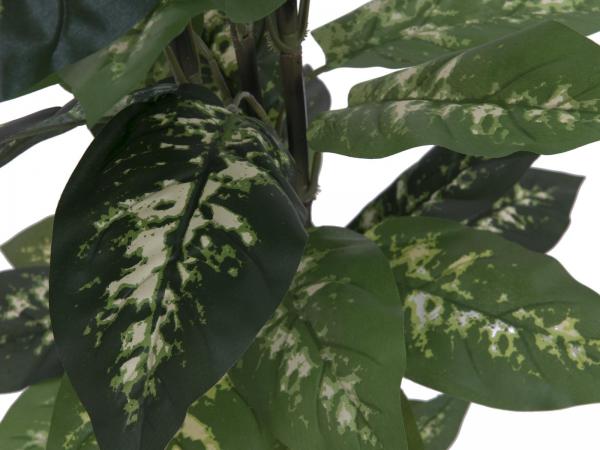 EUROPALMS Dieffenbachia, künstlich, 120cm