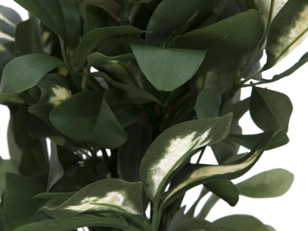 EUROPALMS Schefflera, künstlich, 120cm