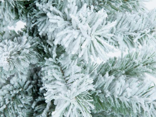 EUROPALMS Tannenbaum, beflockt, 150cm