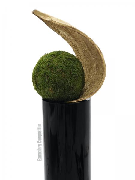 EUROPALMS Galarablatt, getrocknet, gold