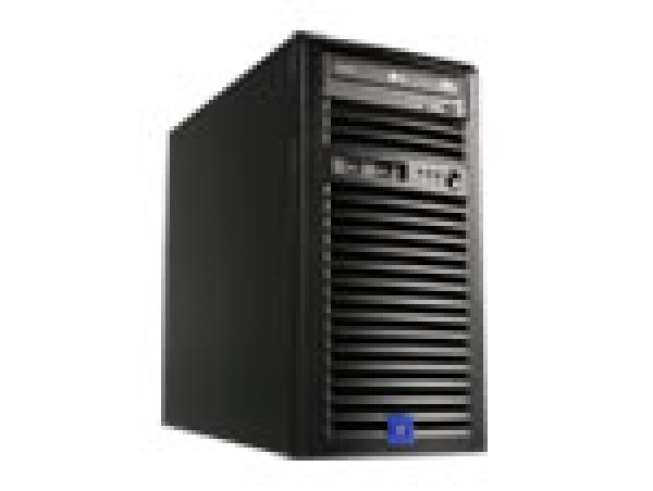 Server Tower E3-1220v3/8GB/2x1TB